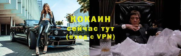 молекула духа Балахна
