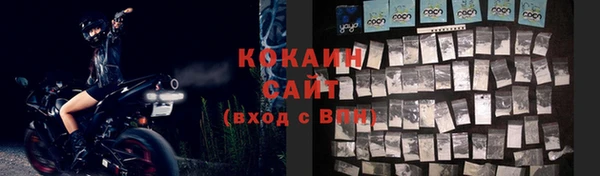 сатива Аркадак