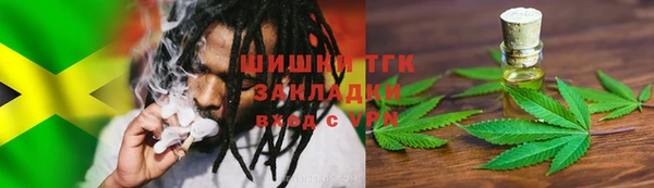 индика Арсеньев