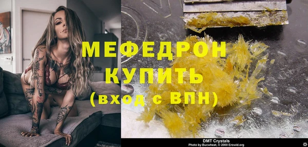 индика Арсеньев