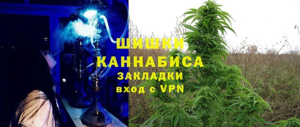 молекула духа Балахна