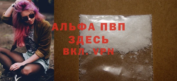 индика Арсеньев