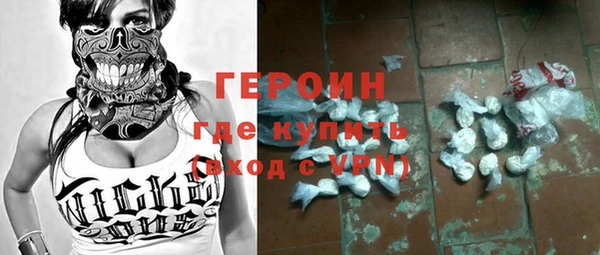 индика Арсеньев