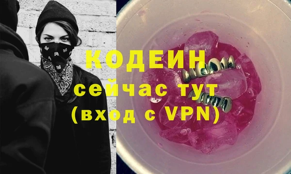 индика Арсеньев