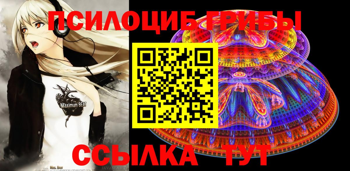 Псилоцибиновые грибы прущие грибы  Вход с VPN  Ступино 