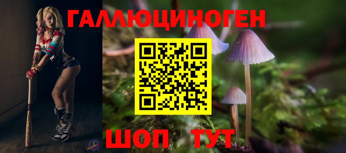 Галлюциногенные грибы Cubensis Ступино